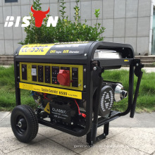 BISON (CHINA) 5kw Nennleistungsgenerator AVR